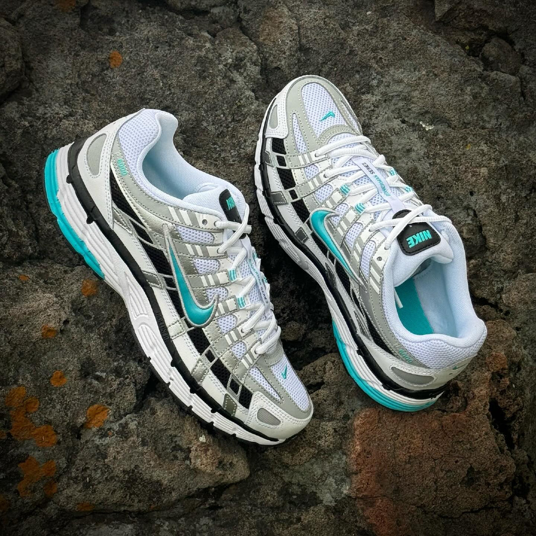 Nike P6000 Dusty Cactus