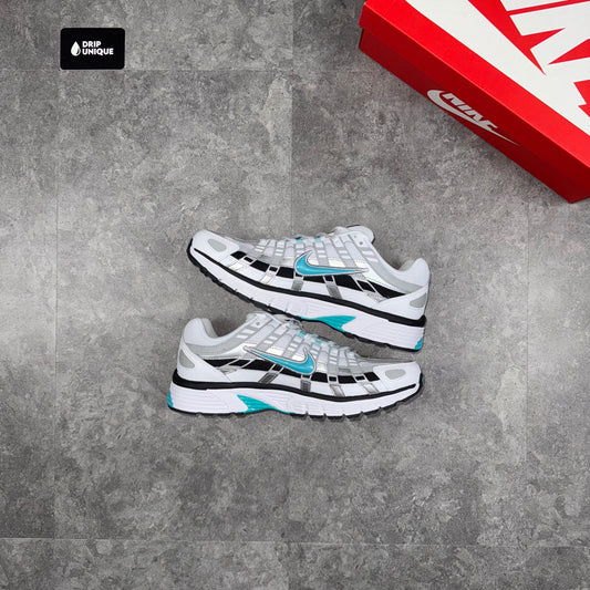 Nike P6000 Dusty Cactus